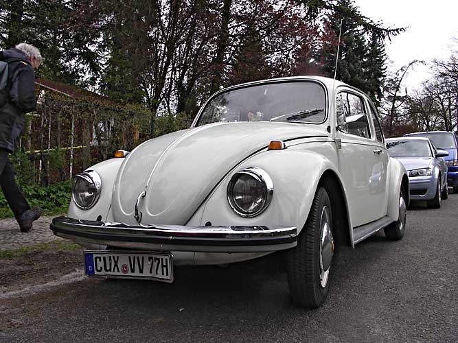 Kaefer in Potsdam Kopie